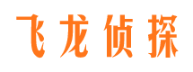 武功飞龙私家侦探公司